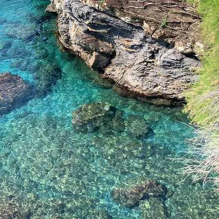 Mae Nervi A 2 Passi Dal Mare Apartment